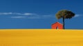 Intense Color Contrasts: A Small Building Standing On A Field