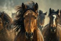intense eyes and flaring nostrils of horses in midrun Royalty Free Stock Photo