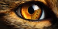 Intense Feline Eye Macro. Generative ai Royalty Free Stock Photo