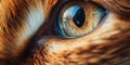 Intense Feline Eye Macro. Generative ai Royalty Free Stock Photo