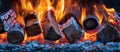 Intense Fire Burning in Fireplace Royalty Free Stock Photo