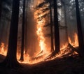 Foreboding Flames Amongst Trees Royalty Free Stock Photo