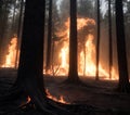 Foreboding Flames Amongst Trees Royalty Free Stock Photo