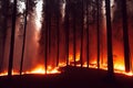 Intense flames from a massive forest fire, generative ai. Flames light up the evening as they rage thru pine forests and sage Royalty Free Stock Photo