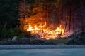 Intense flames from a massive forest fire at night