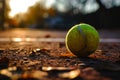 Intense Focus: Tennis Ball on the Court.