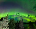 Intense green Aurora borealis over boreal forest Royalty Free Stock Photo