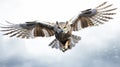 Intense Owl In Flight: Captivating High-key Photography