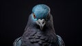 Intense Portraiture: Blue Pigeon In Soviet Lens Style