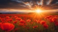 Intense sun with lots of thin sunrays over a poppy field in summer created with Generative AI Royalty Free Stock Photo