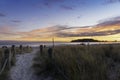 Intense sunrise beyond dune restoration planting at Mount Maunganui