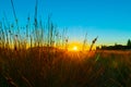 Intense sunrise at Mount Maunganui Royalty Free Stock Photo