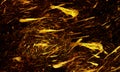 Intense vortex or whirlwind in dark far and deep abyss. Golden particles in tornado motion over black background.