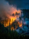 Intense wildfire burning through dense forest trees with thick smoke rising under a dark sky during an evening blaze in Royalty Free Stock Photo