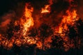 Intense Wildfire Royalty Free Stock Photo