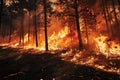 Intense Wildfire Royalty Free Stock Photo