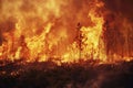 Intense Wildfire Royalty Free Stock Photo