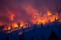 Intense Wildfire Royalty Free Stock Photo