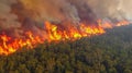 Intense Wildfire Engulfs Forest, Smoke and Flames Soar Skyward Royalty Free Stock Photo