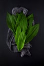 Intensely fragrant fresh green wild garlic herbs decorated on rustic dark slate plate Royalty Free Stock Photo