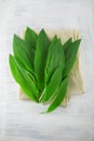 Intensely fragrant fresh green wild garlic herbs decorated on rustic white wood plate