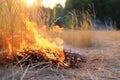 intensity of spring forest fires, with dry grass flames raging. ecological danger posed by fire