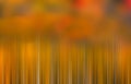 Intentional blur of autumn trees