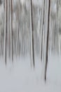 Forest ICM. Royalty Free Stock Photo