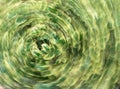 Intentional camera movement photo