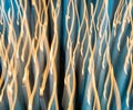 Intentional camera movement photo