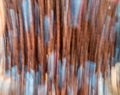 Intentional camera movement photo