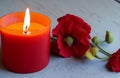 intentionally soft flanders poppies and candle to commemorate remembrance,