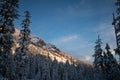 Inter Forest Crater Lake Snowy Mountain Landscape Photograph Oregon Pacific Northwest Mountain Trees