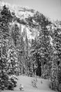 Inter Forest Crater Lake Snowy Mountain Landscape Photograph Oregon Pacific Northwest Mountain Trees