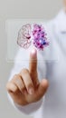 Interactive brain scan visualization, exploring neurological data on a touch screen display Royalty Free Stock Photo