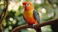Interactive parrot training with vocal AI technology in a natural setting Royalty Free Stock Photo