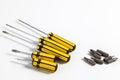 Interchangable tips in screwdrivers