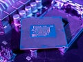 interchangeable silicon microprocessors for desktop, server, laptop, cpu surface with contacts for installation in the motherboard Royalty Free Stock Photo