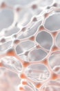 Interconnected cellular structures are observed in a detailed microscopic view, revealing a delicate network of nodes