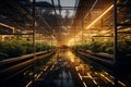 Interconnected Greenhouses: Organic Harvests in Sustainable Harmony