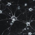 Interconnected neurons network in black and white digital representation