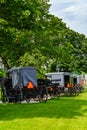 Amish Horses and Buggies Royalty Free Stock Photo