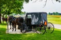 Amish Horses and Buggies Royalty Free Stock Photo