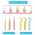 Interdental brush and teeth illustration. dental and oral care concept