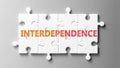 Interdependence complex like a puzzle - pictured as word Interdependence on a puzzle to show that it can be difficult and needs