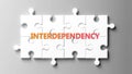 Interdependency complex like a puzzle - pictured as word interdependency on a puzzle pieces Royalty Free Stock Photo