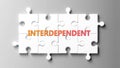 Interdependent complex like a puzzle - pictured as word interdependent on a puzzle pieces Royalty Free Stock Photo