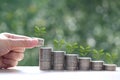 Interest rate up and Banking concept, Plant growing on stack of coins money on natural green background,Finance Royalty Free Stock Photo