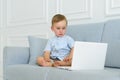 Interested baby with laptop - learner child on a sofa