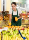 Interested salesgirl laying out oranges on display stand in supermarket Royalty Free Stock Photo